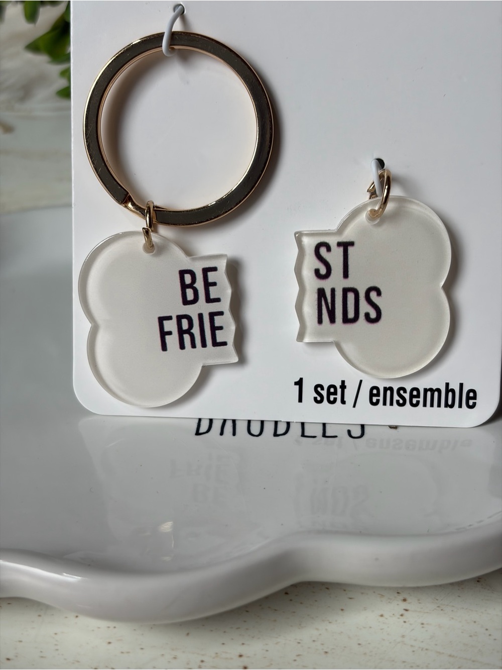 Best Friend pet acrylic bone shape Keychain Set